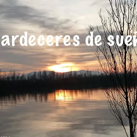 2 Zen Deltebre